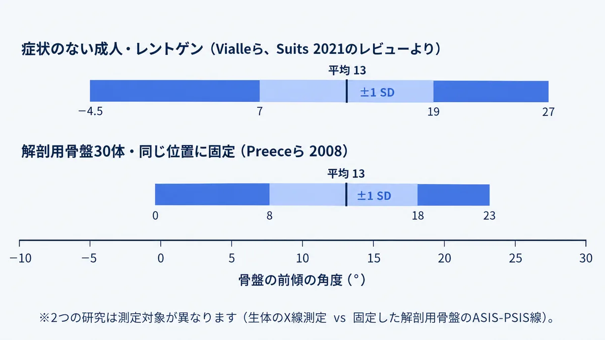 骨盤の前傾の角度の範囲を比べた横棒グラフ。症状のない成人のレントゲンで−4.5〜27°(平均13°)、同じ位置に固定した骨盤30体で0〜23°(平均13°)