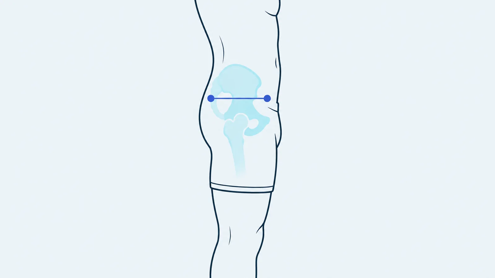 Side view of a standing person's hips with the pelvis outlined and two points at its front and back joined by a line