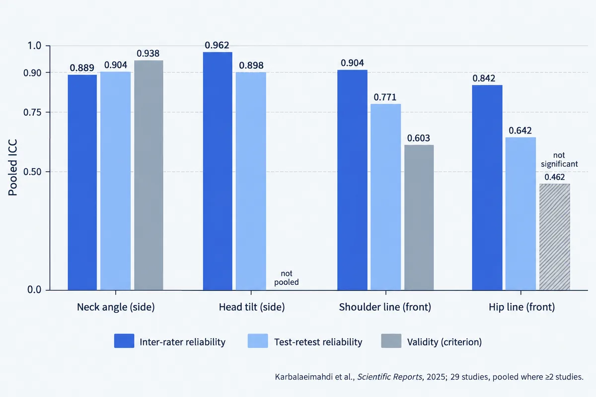 Grouped bar chart of pooled reliability and validity for four photo posture measures, highest for the neck angle and lowest validity for the hip line