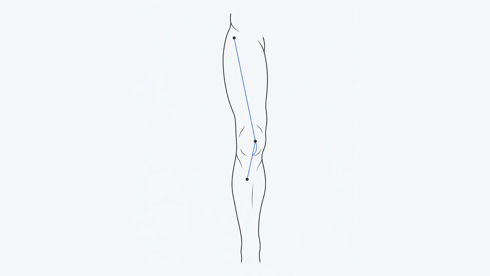 Illustration of a leg from the front with lines from the hip bone and the shin meeting at the kneecap